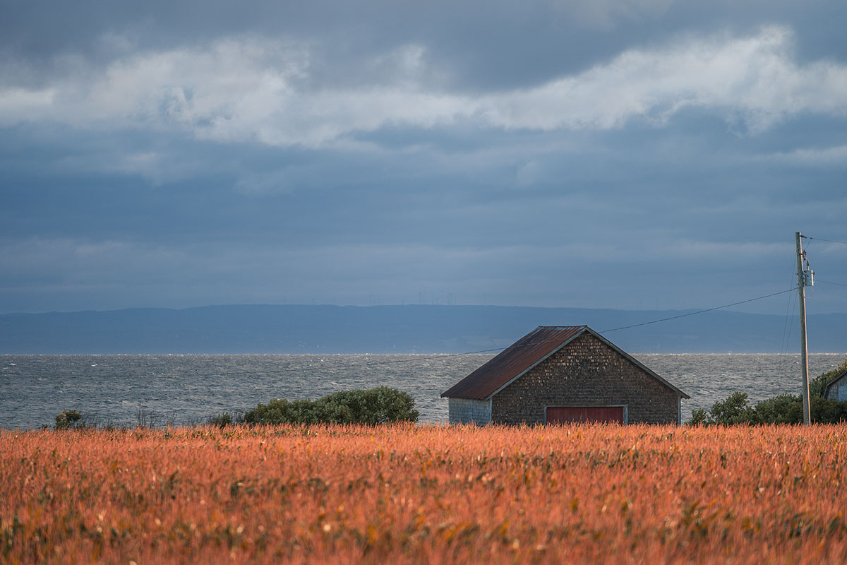 Village of Belledune