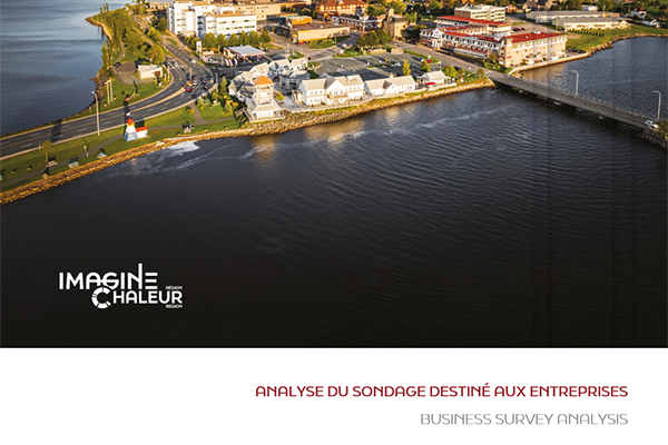 Analyse du sondage destiné aux entreprises – Région Chaleur